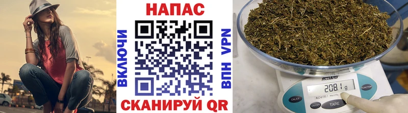 Бошки Шишки AK-47  Устюжна 